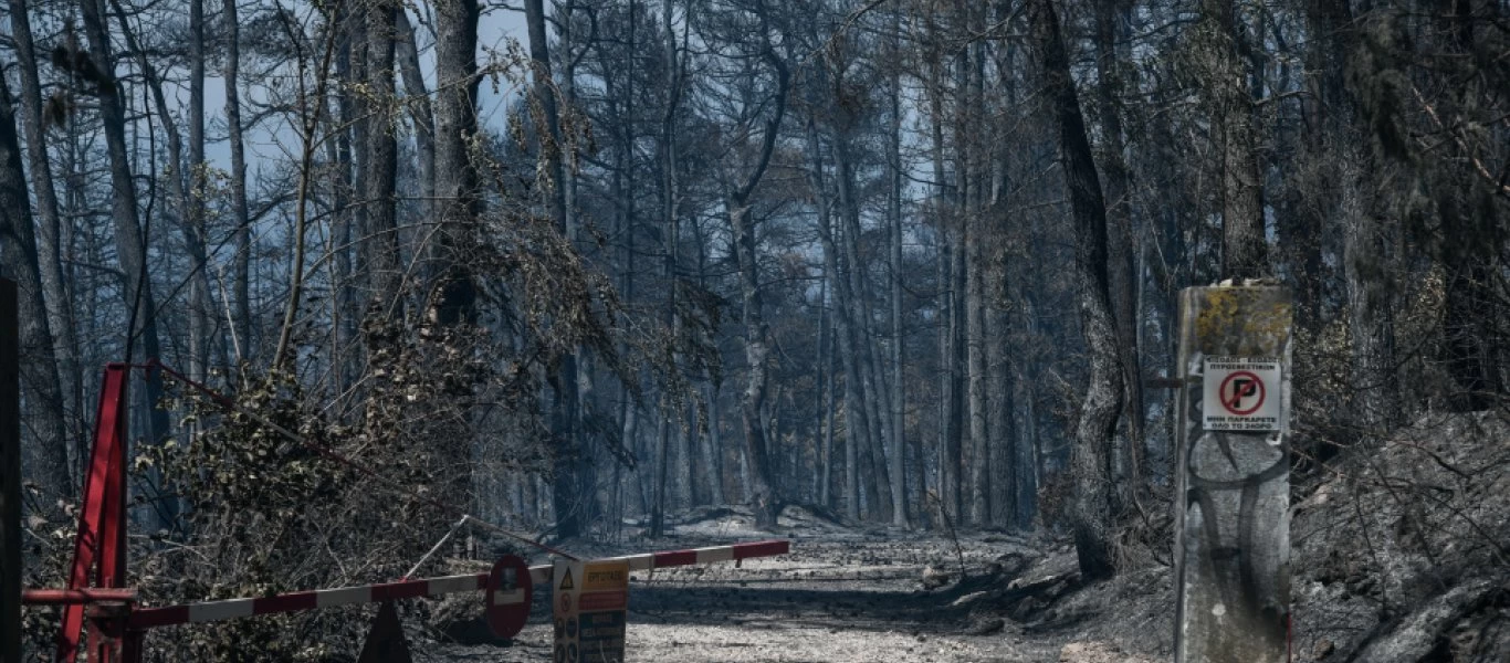 Στη Βόρεια Εύβοια κλιμάκιο ειδικών ψυχικής υγείας του ΕΚΚΑ